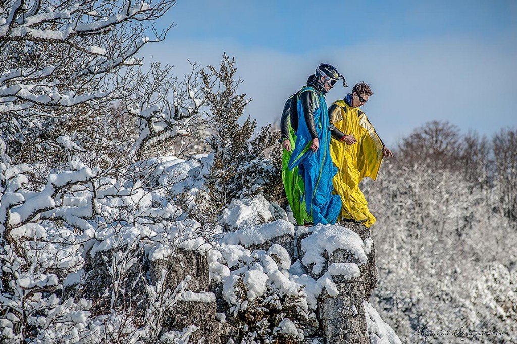 Trois oiseaux avant l'envol sur la falaise de Presles