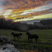 Image et Opale Image et Opale