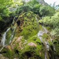 La Cascade Verte. Tufière formée par une eau très chargée en calcaire et en Co2 dissous randonnee dans le Vercors
