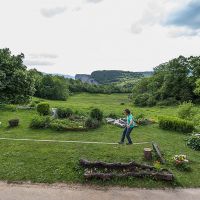 Bernard en recherche d'équilibre, observé depuis la salle de réunion Vue depuis la salle de réunion