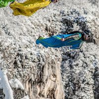 Intriguant pour un ornithologue Base-jump