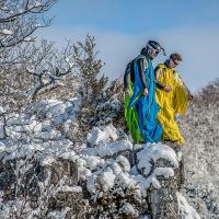 Trois oiseaux avant l'envol sur la falaise de Presles Base-jump
