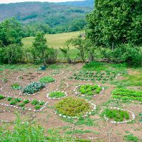 Le potager d'Entre Ciel et Pierres