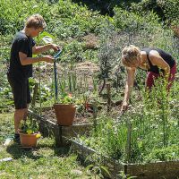 Le jardin potager à Presles