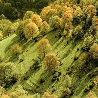 Une vue sur les coteaux de la route de Presles Route de Presles en Vercors