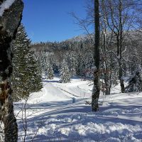 Départ des pistes de ski de fond dans les Coulmes à Patente Ski de fond dans les Coulmes
