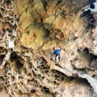 Corse, Ad dans U Haddad, dans l'embarras du choix des taffonis