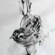 Moineau si beau, 2025 Peinture à l'encre, moineau