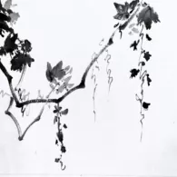 Chemin de vigne, 2025 peinture à l'encre, vigne